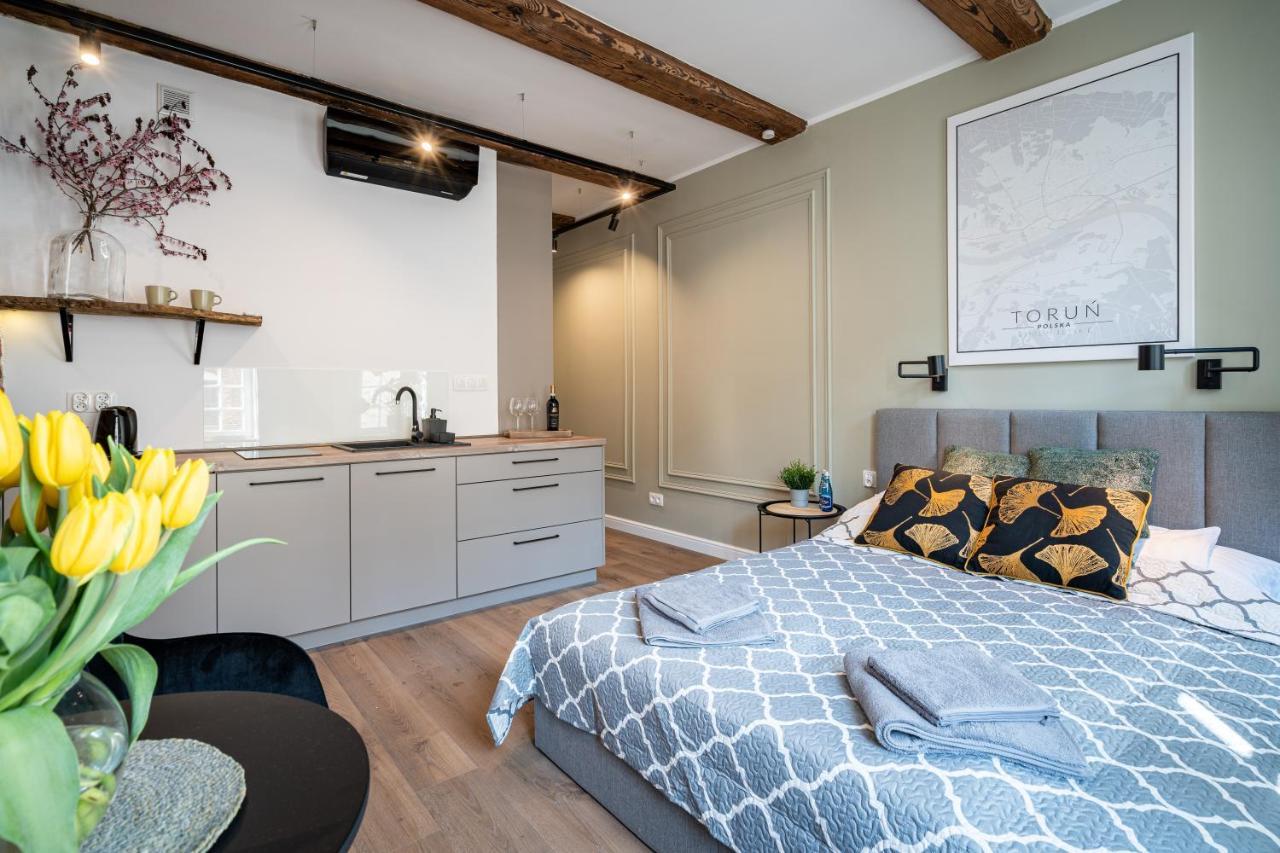 Apartamenty Stare Cegly Stary Toruń Εξωτερικό φωτογραφία